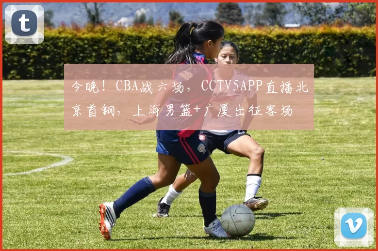 今晚！CBA战六场，CCTV5APP直播北京首钢，上海男篮+广厦出征客场