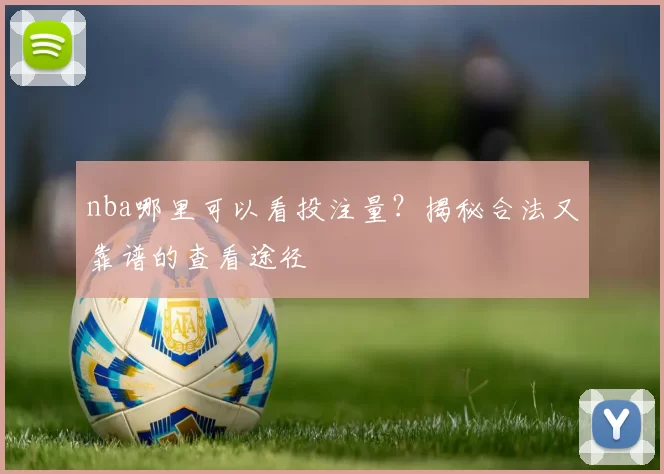 nba哪里可以看投注量？揭秘合法又靠谱的查看途径