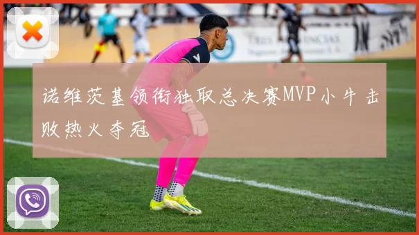 诺维茨基领衔独取总决赛MVP小牛击败热火夺冠