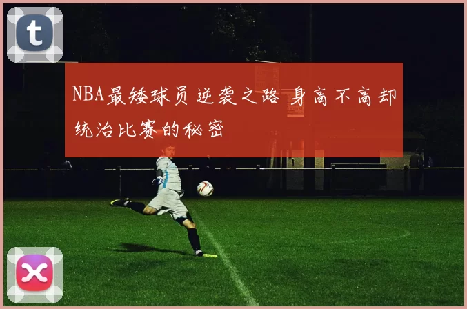 NBA最矮球员逆袭之路 身高不高却统治比赛的秘密