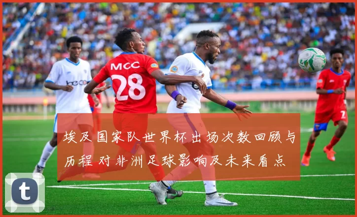 埃及国家队世界杯出场次数回顾与历程 对非洲足球影响及未来看点