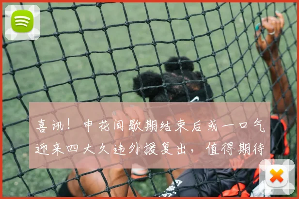喜讯！申花间歇期结束后或一口气迎来四大久违外援复出，值得期待