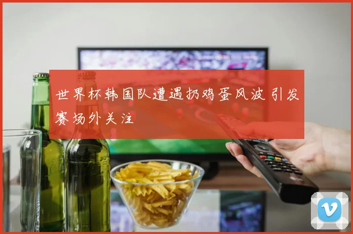 世界杯韩国队遭遇扔鸡蛋风波 引发赛场外关注