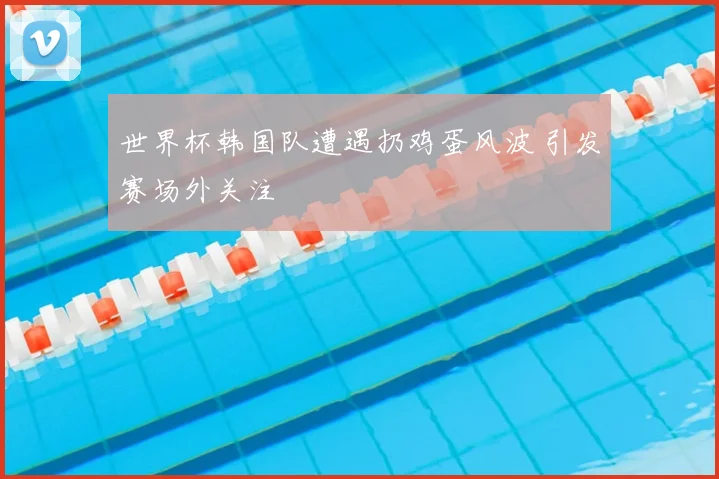 世界杯韩国队遭遇扔鸡蛋风波 引发赛场外关注