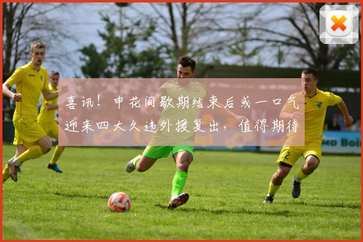 喜讯！申花间歇期结束后或一口气迎来四大久违外援复出，值得期待